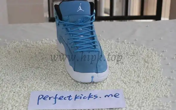 Authentic Air Jordan 12 Pantone