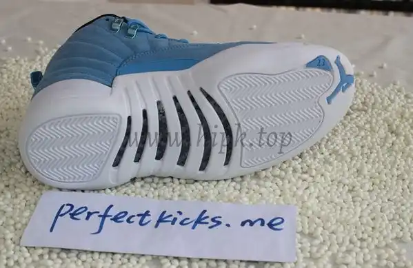 Authentic Air Jordan 12 Pantone