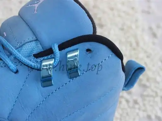 Authentic Air Jordan 12 Pantone