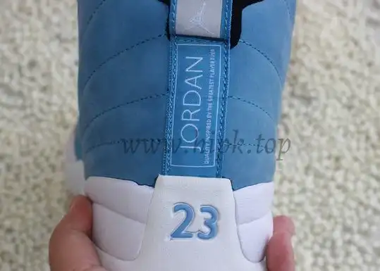 Authentic Air Jordan 12 Pantone