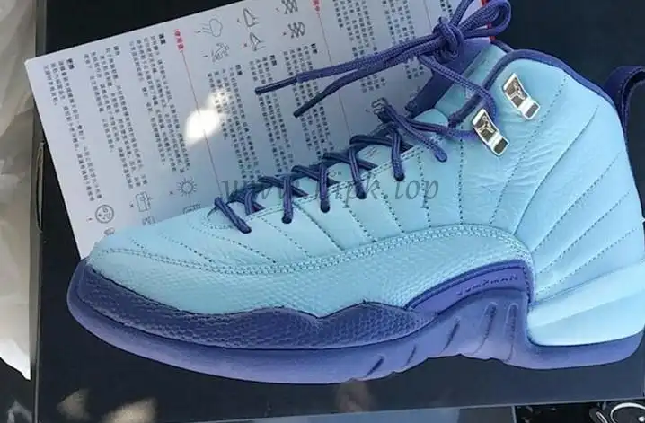 Authentic Air Jordan 12 GS “Purple Dust”