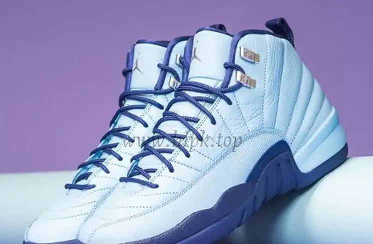 Authentic Air Jordan 12 GS “Purple Dust”