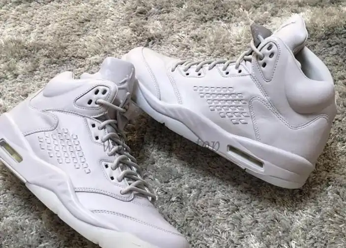 Authentic Air Jordan 5 Pure Money