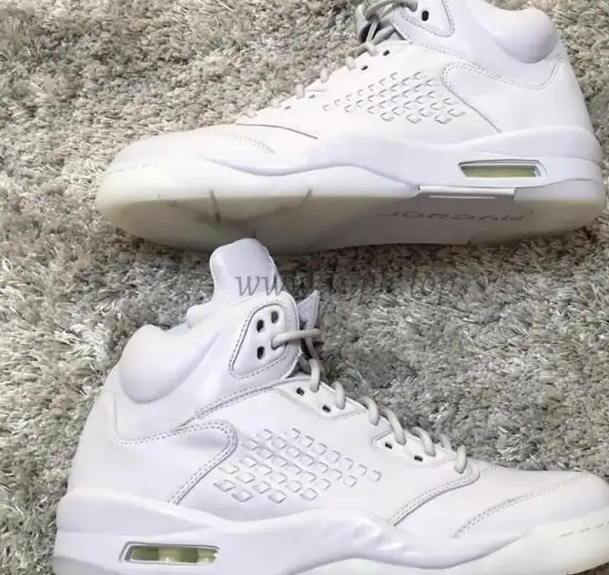 Authentic Air Jordan 5 Pure Money