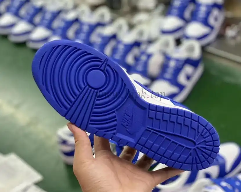 PK God Nike dunk low Kentucky retail materials ready to ship