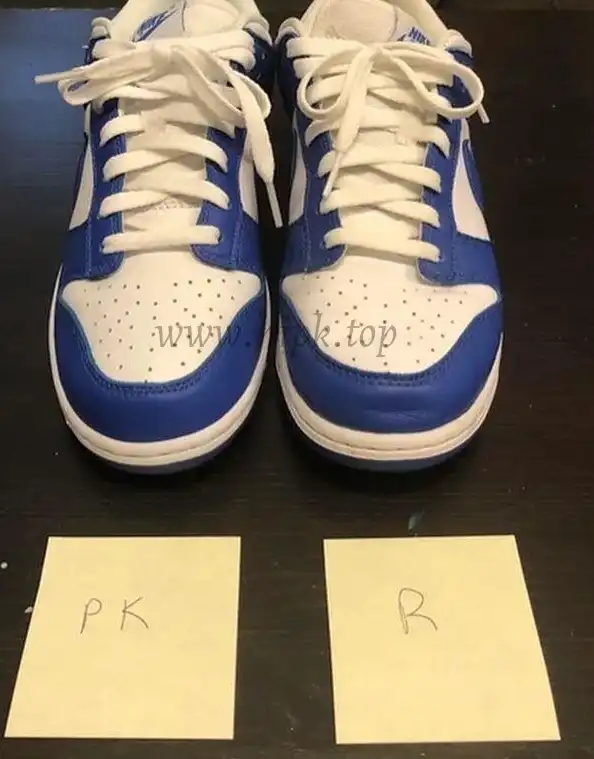 PK God Nike dunk low Kentucky retail materials ready to ship