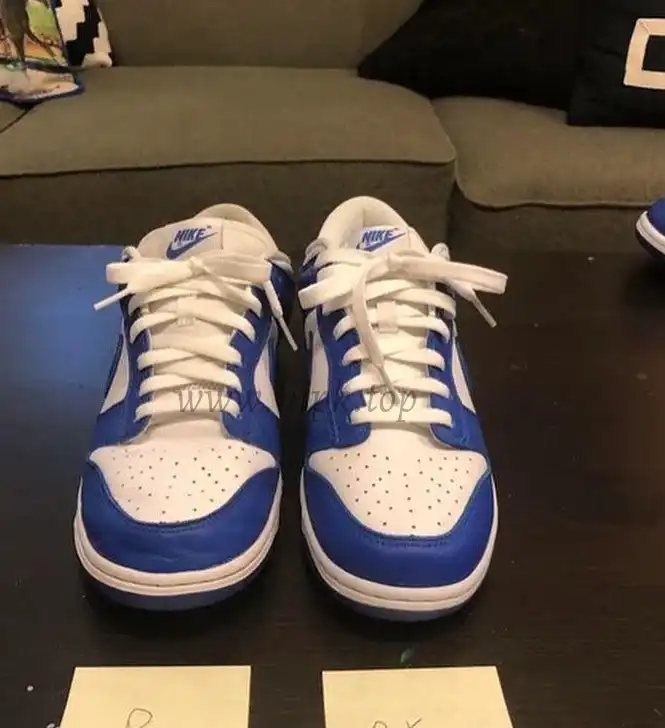 PK God Nike dunk low Kentucky retail materials ready to ship