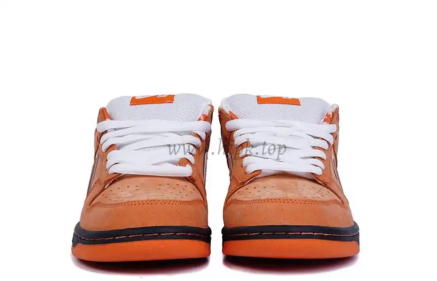 PK GOD NIKE SB DUNK LOW CONCEPTS ORANGE LOBSTER RETAIL MATERIALS READY TO SHIP