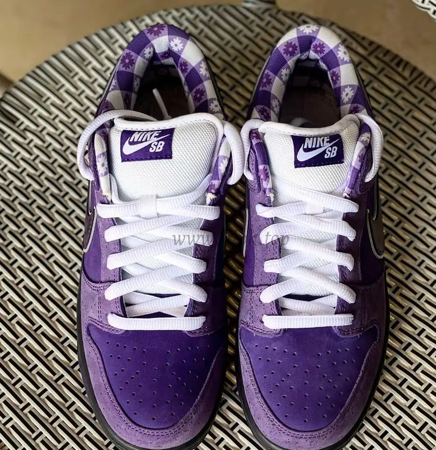 PKGod Concepts X Sb dunk purple Lobster retail materials ready to ship