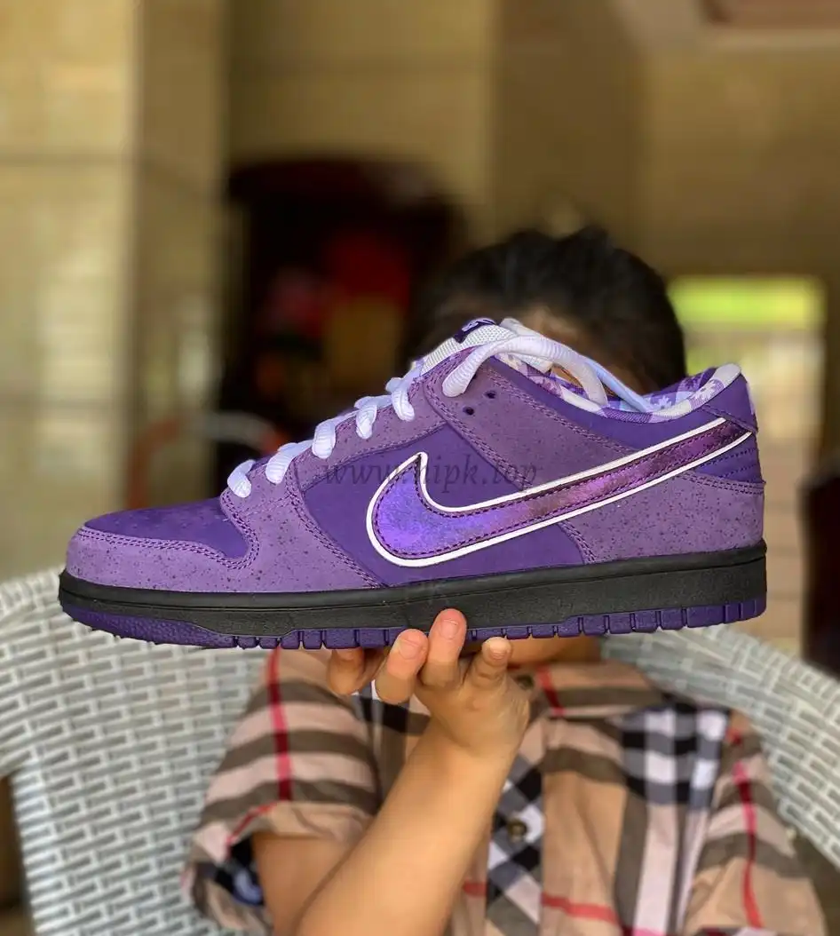 PKGod Concepts X Sb dunk purple Lobster retail materials ready to ship