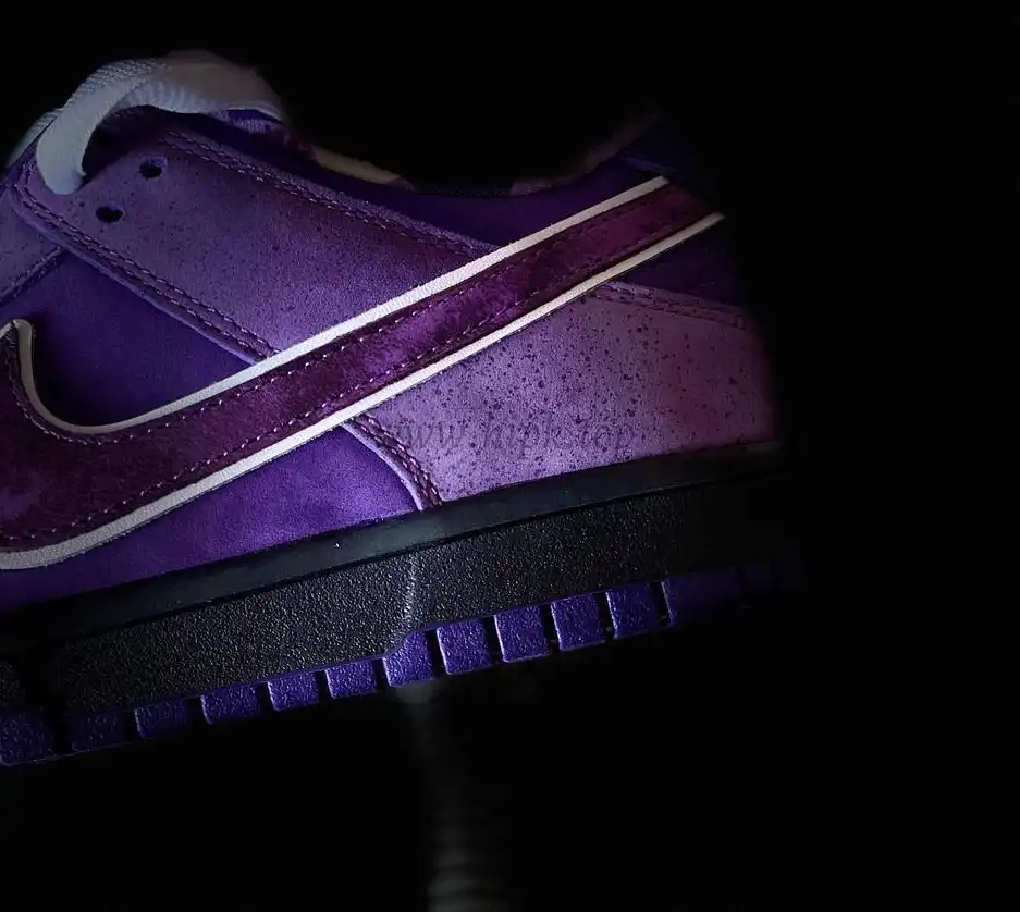 PKGod Concepts X Sb dunk purple Lobster retail materials ready to ship