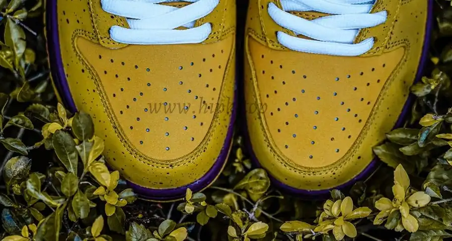 PK GOD Nike SB Dunk Low Yellow Lobster RETAIL MATERIALS READY TO SHIP