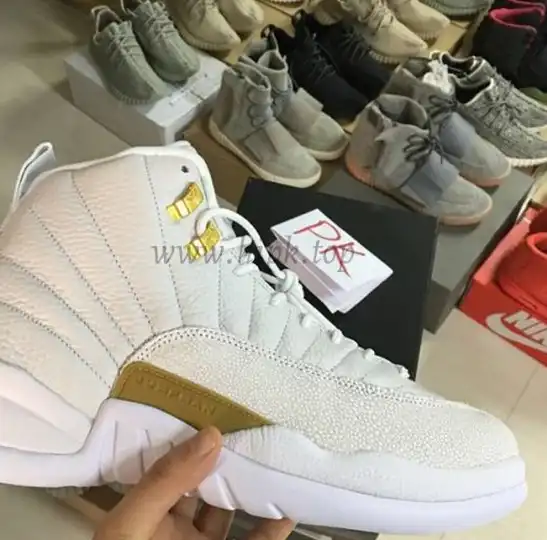 Authentic Air Jordan 12 Trophy Room From PK