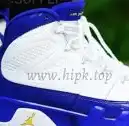 Authentic Air Jordan 9 Low Pantone