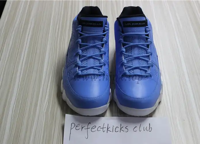 Authentic Air Jordan 9 Low Pantone