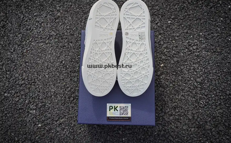 PK GOD Dior B33 TENNIS  DO  EMBROIDERED  CANV Gray & PINK RETAIL MATERIALS READY TO SHIP