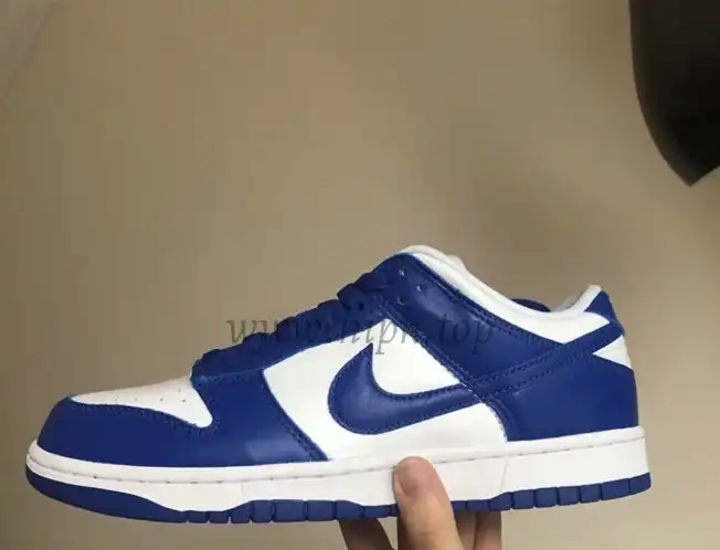 PK God Nike dunk low Kentucky retail materials ready to ship