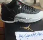 Authentic Air Jordan 12 Wool