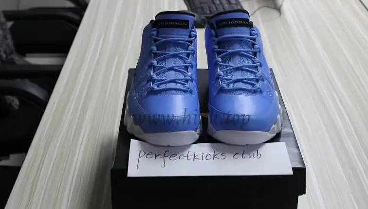 Authentic Air Jordan 9 Low Pantone