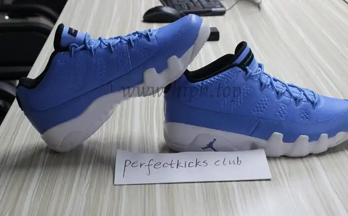 Authentic Air Jordan 9 Low Pantone