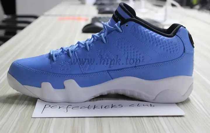 Authentic Air Jordan 9 Low Pantone