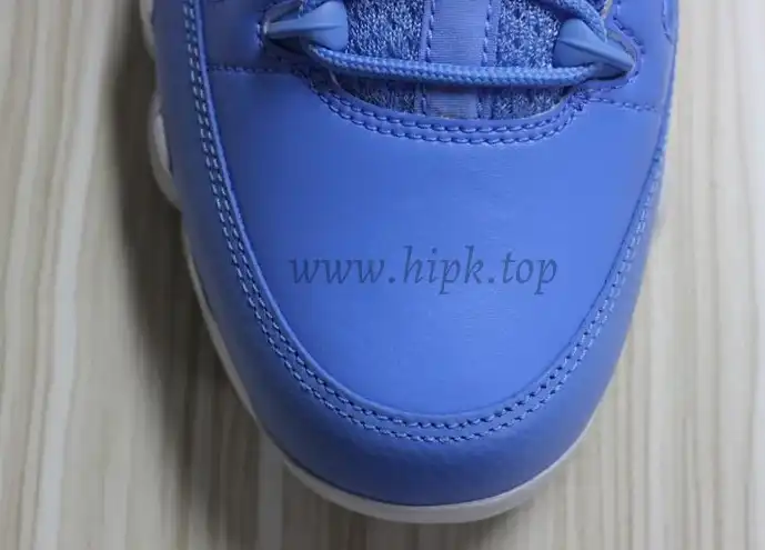 Authentic Air Jordan 9 Low Pantone