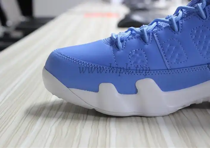 Authentic Air Jordan 9 Low Pantone