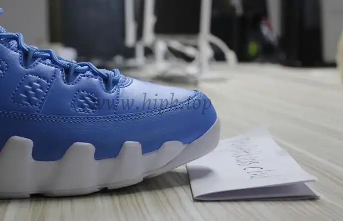 Authentic Air Jordan 9 Low Pantone