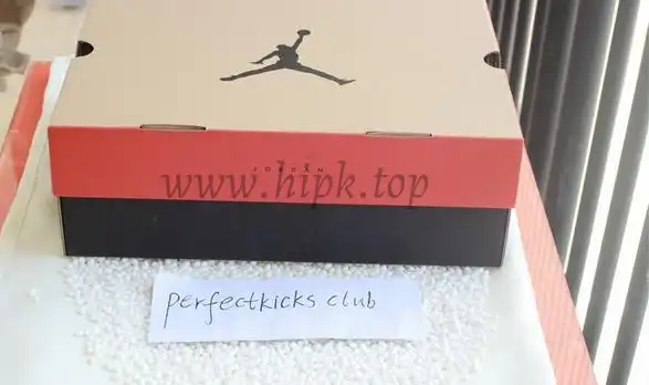 Authentic Air Jordan 12 Trophy Room From PK