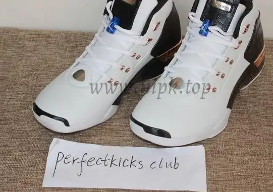 Authentic Air Jordan 17+ Retro Copper