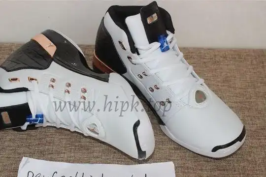 Authentic Air Jordan 17+ Retro Copper