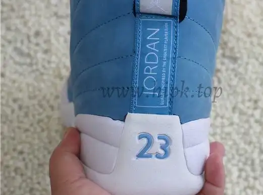 Authentic Air Jordan 12 Pantone