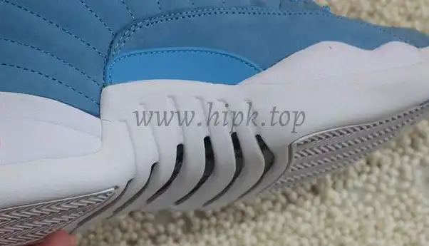 Authentic Air Jordan 12 Pantone