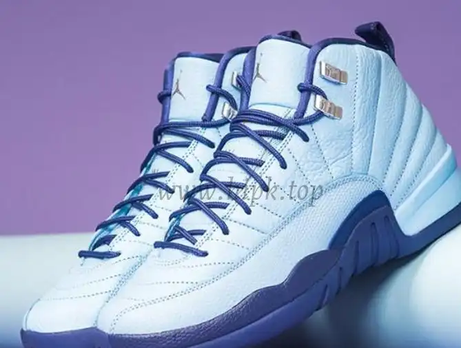 Authentic Air Jordan 12 GS “Purple Dust”