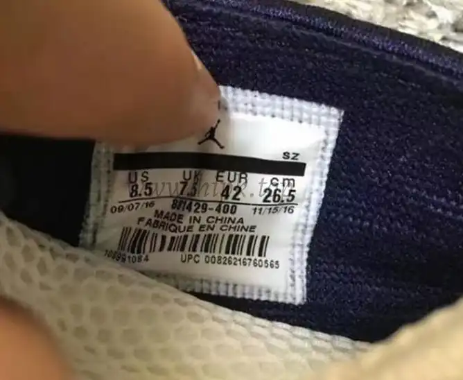 Authentic Air Jordan 15 Obsidian