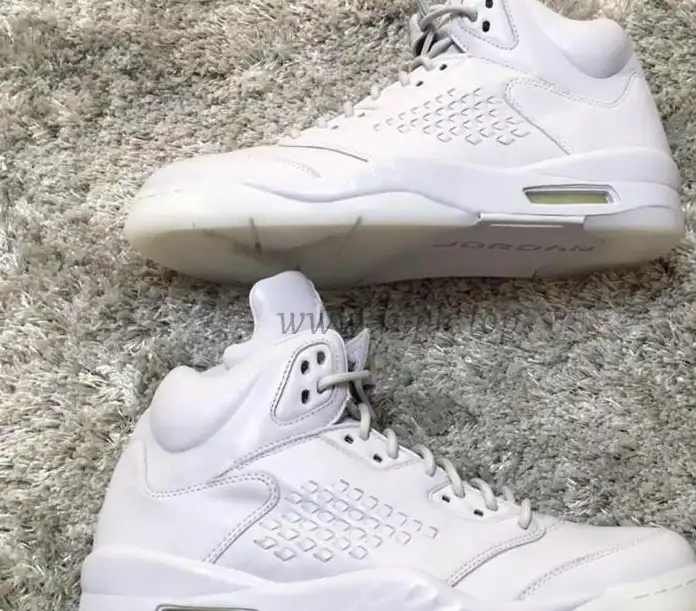 Authentic Air Jordan 5 Pure Money