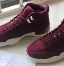 Authentic Air Jordan 12 Retro Wings