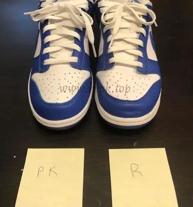 PK God Nike dunk low Kentucky retail materials ready to ship