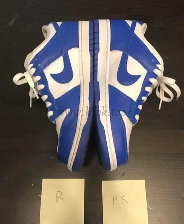 PK God Nike dunk low Kentucky retail materials ready to ship