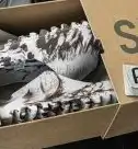 PK GOD adidas Yeezy Slide Bone RETAIL MATERIALS READY TO SHIP