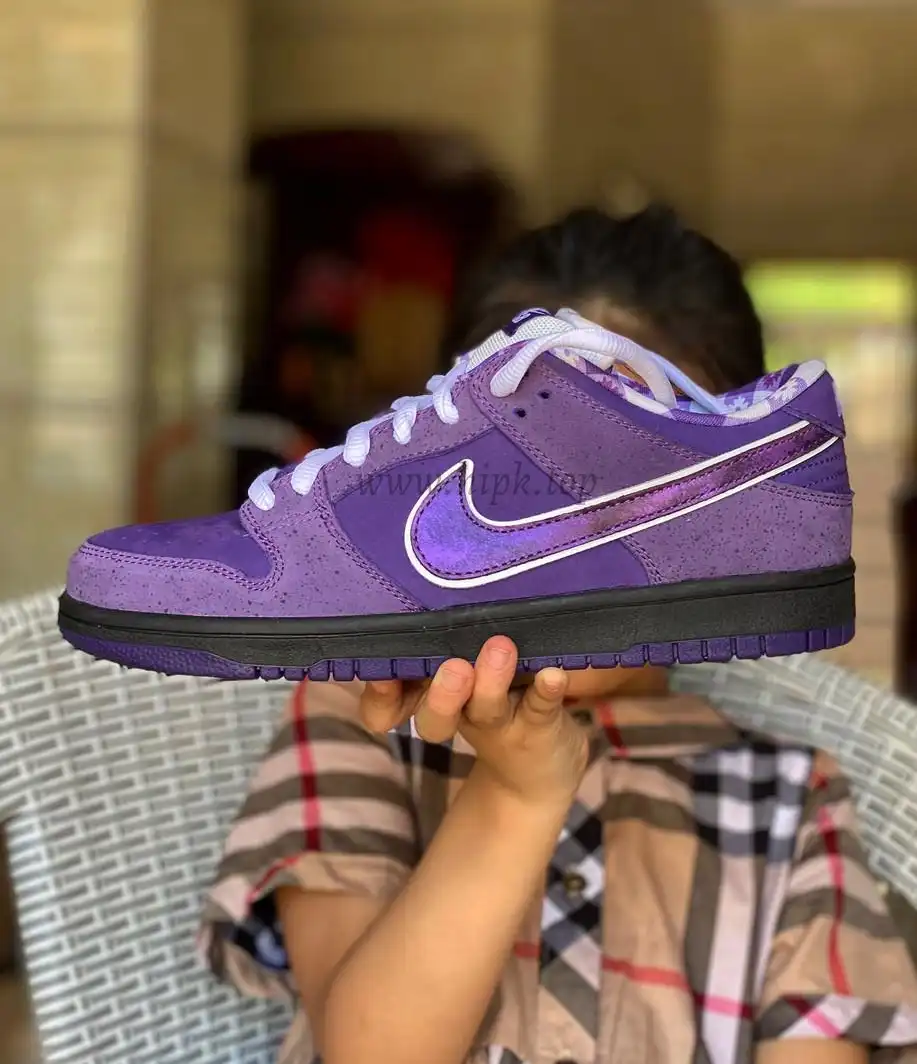 PKGod Concepts X Sb dunk purple Lobster retail materials ready to ship