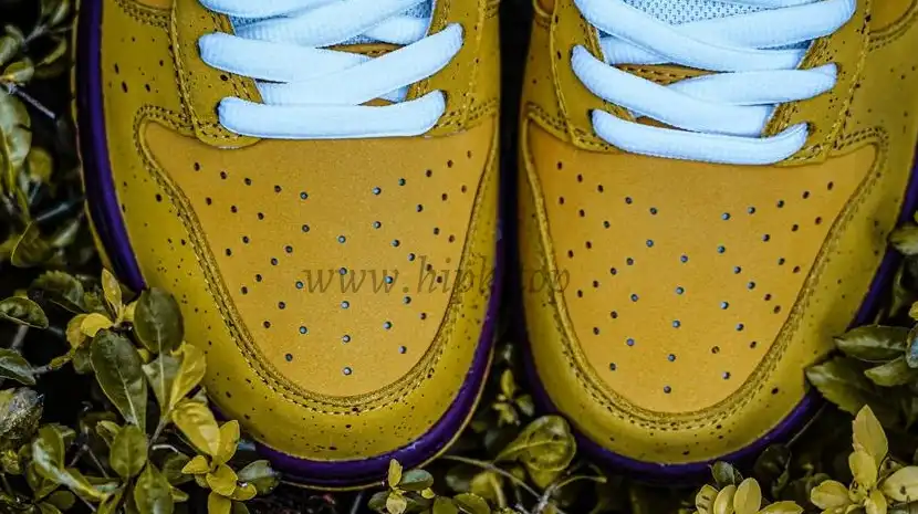 PK GOD Nike SB Dunk Low Yellow Lobster RETAIL MATERIALS READY TO SHIP