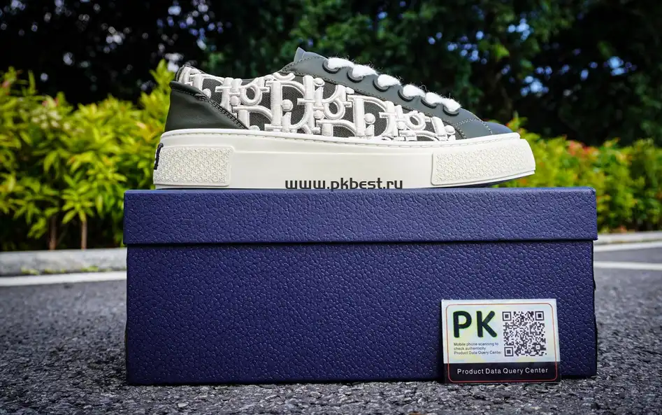 PK GOD Dior B33 TENNIS DO EMBROIDERED CANV RETAIL MATERIALS READY TO SHIP