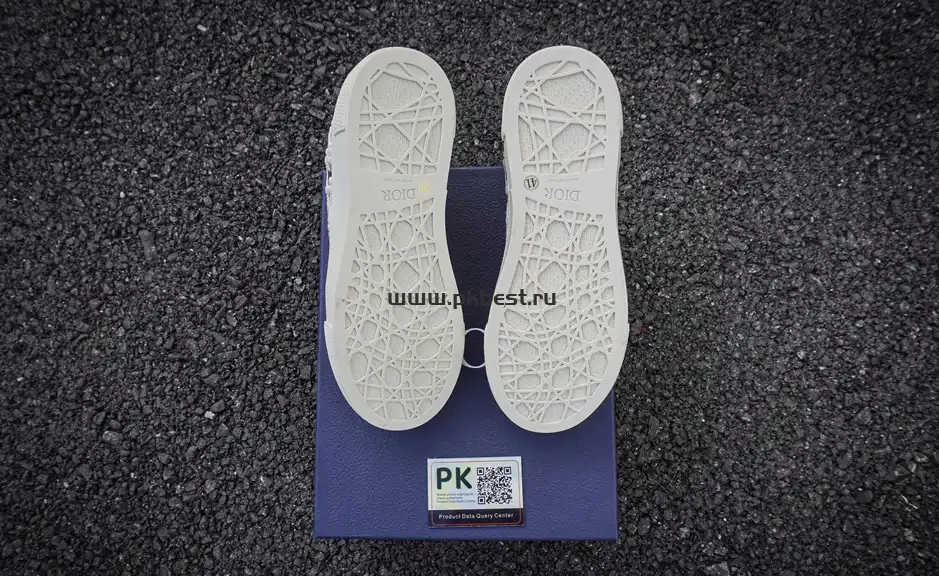 PK GOD Dior B33 TENNIS DO EMBROIDERED CANV RETAIL MATERIALS READY TO SHIP