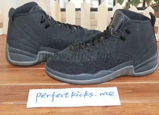 Authentic Air Jordan 12 Black OVO Best version (Nike pairs)