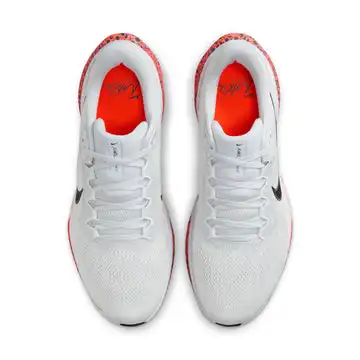 Affordable Men's Nike Pegasus 41 - FV2229-900