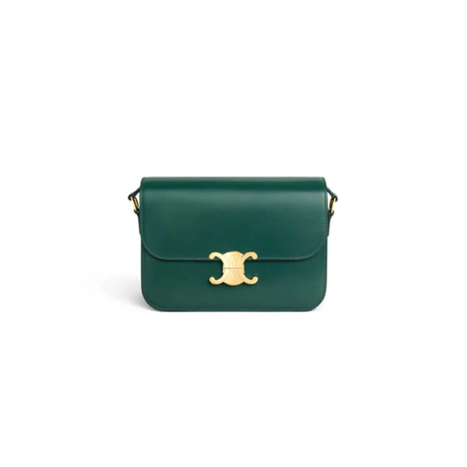 CELINE CLASSIQUE TRIOMPHE BAG IN CALFSKIN Colorful 1623