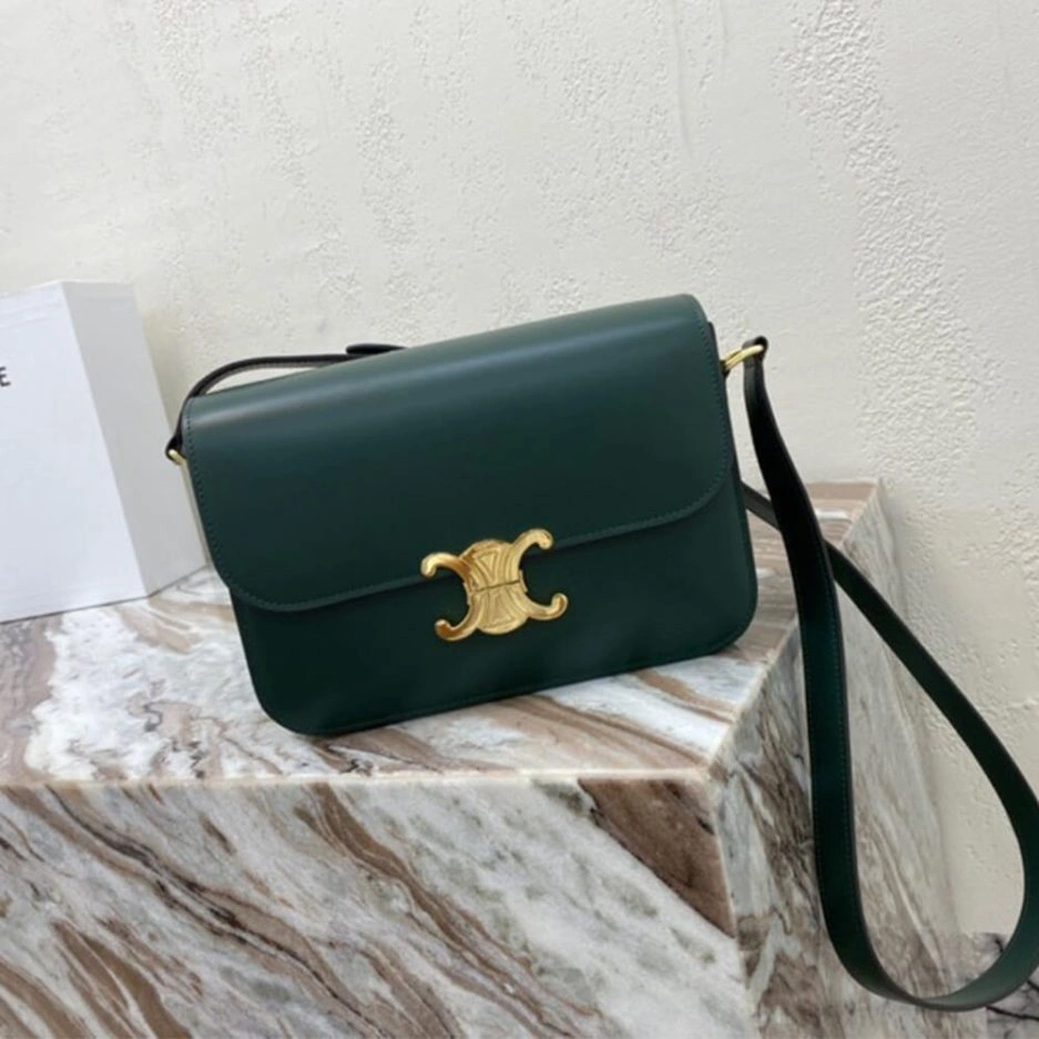 CELINE CLASSIQUE TRIOMPHE BAG IN CALFSKIN Colorful 1623