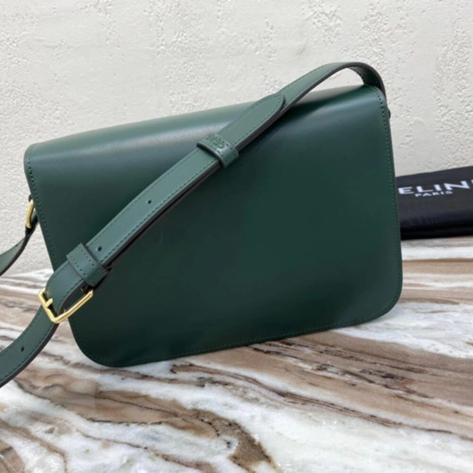 CELINE CLASSIQUE TRIOMPHE BAG IN CALFSKIN Colorful 1623