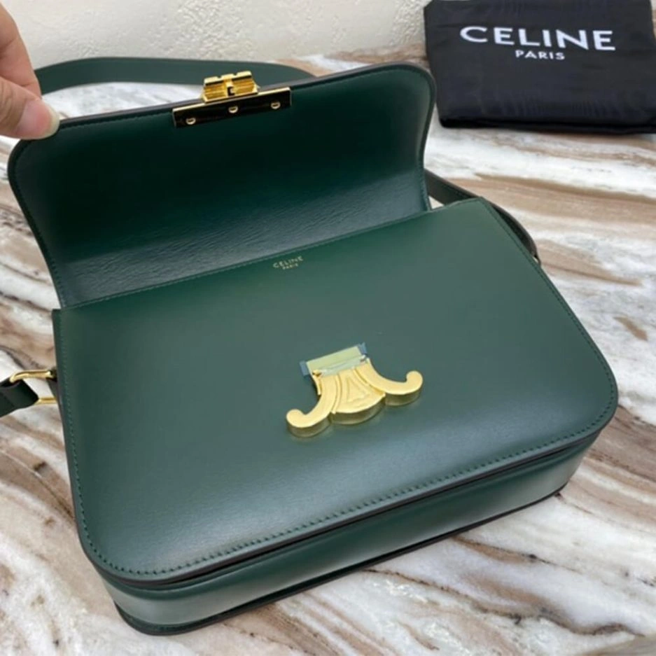 CELINE CLASSIQUE TRIOMPHE BAG IN CALFSKIN Colorful 1623